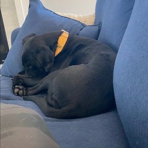 Meet your Posher, Jocelyn